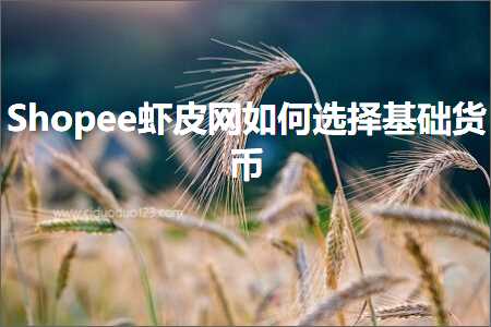 跨境电商知识:Shopee虾皮网如何选择基础货币